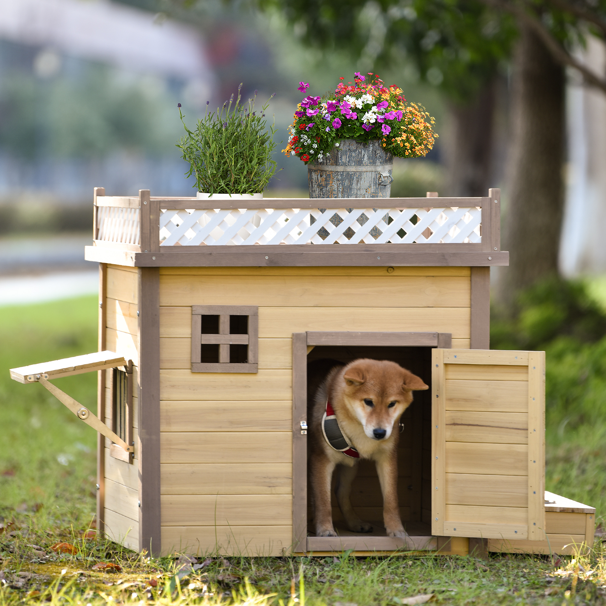 wooden outdoor dog houses